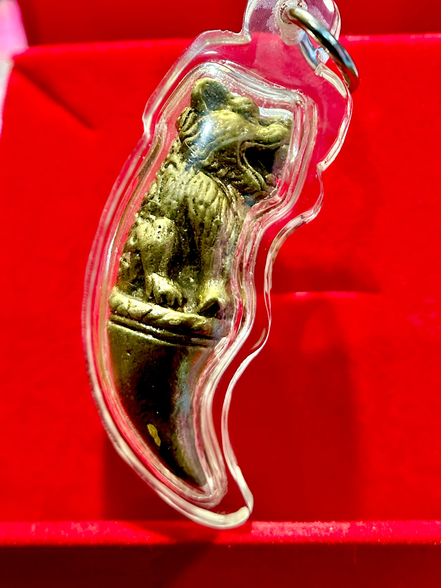 Sacred Tiger Fang