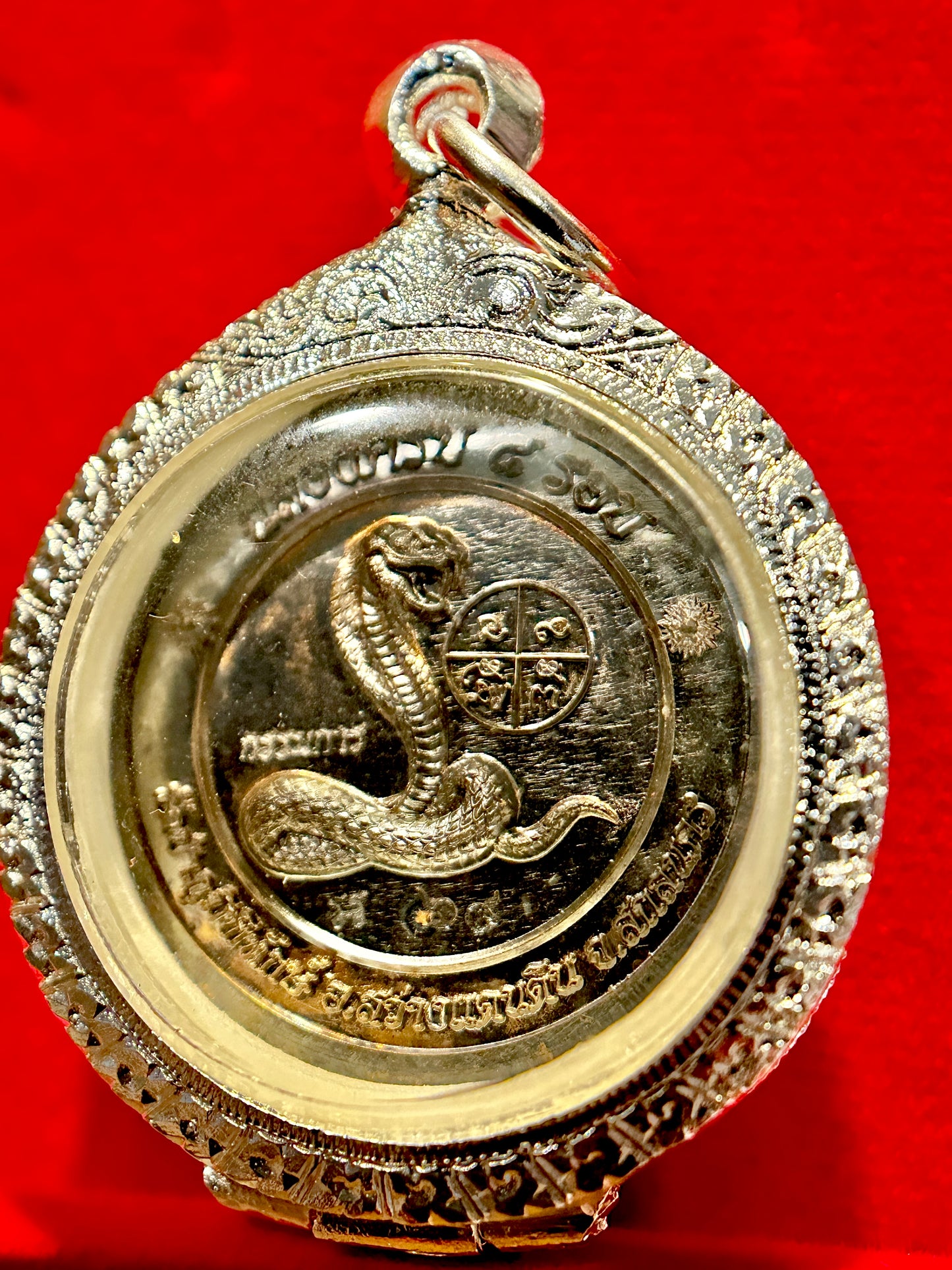 Chok Dee Cobra of Fortune