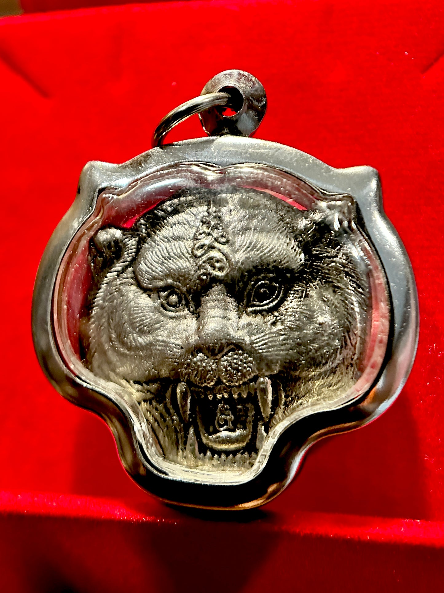 Tiger Spirit & Monk Blessing