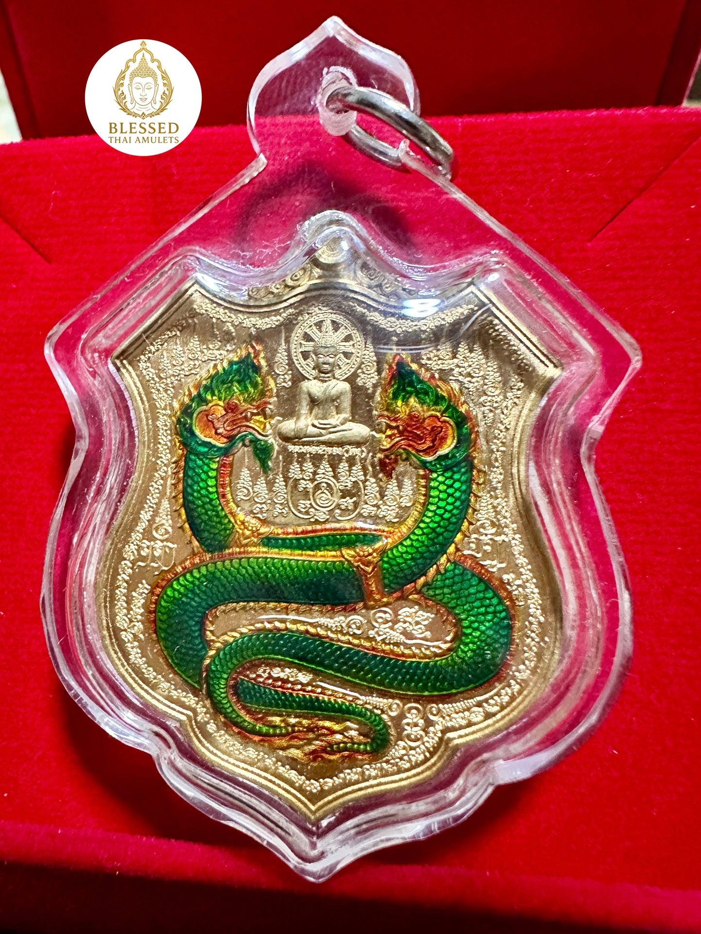 Twin Naga Enlightenment