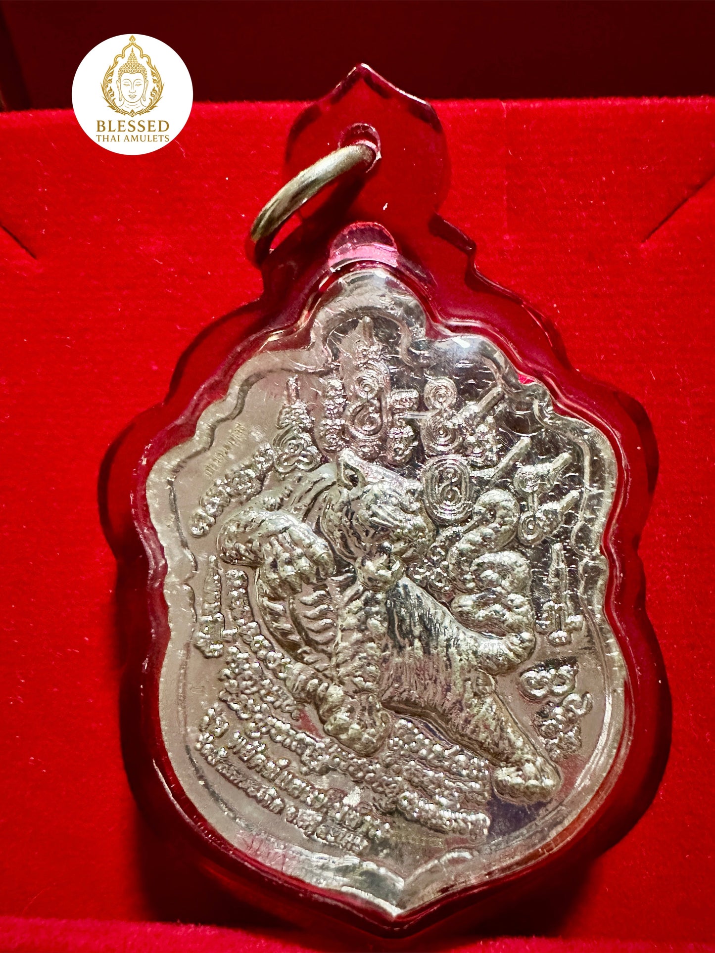 Tiger Power - Luang Phor Saen