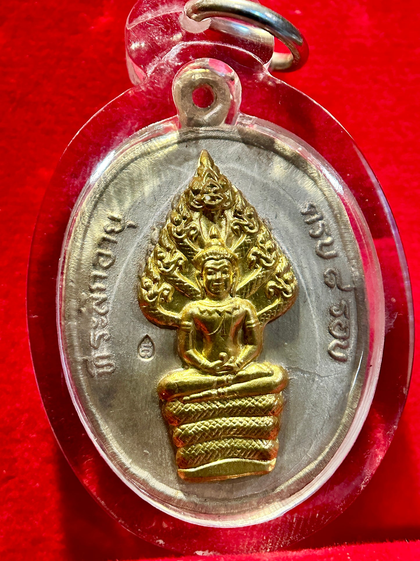 Under Naga Protection