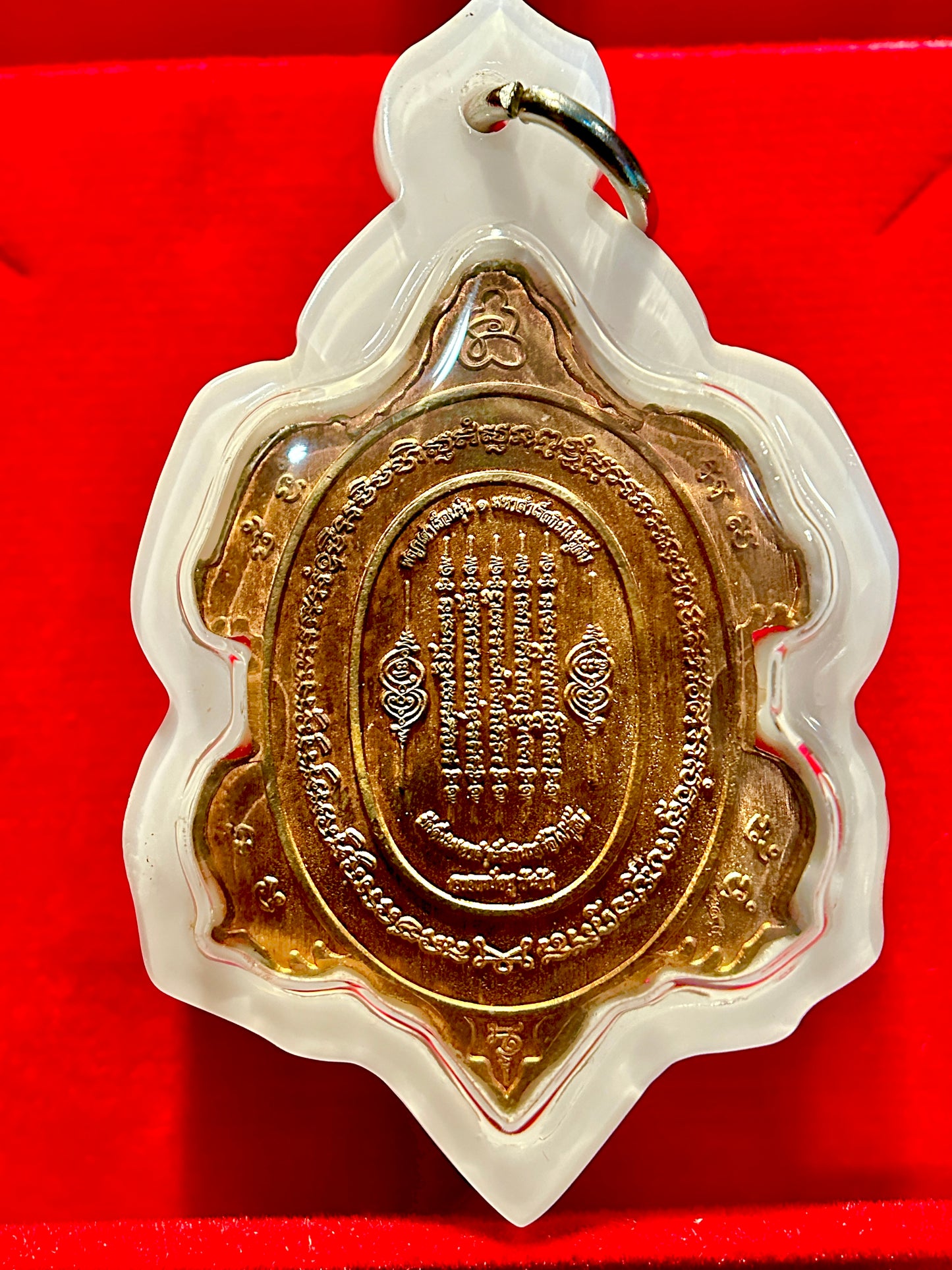Turtle Shield of Wisdom (Pink/White)