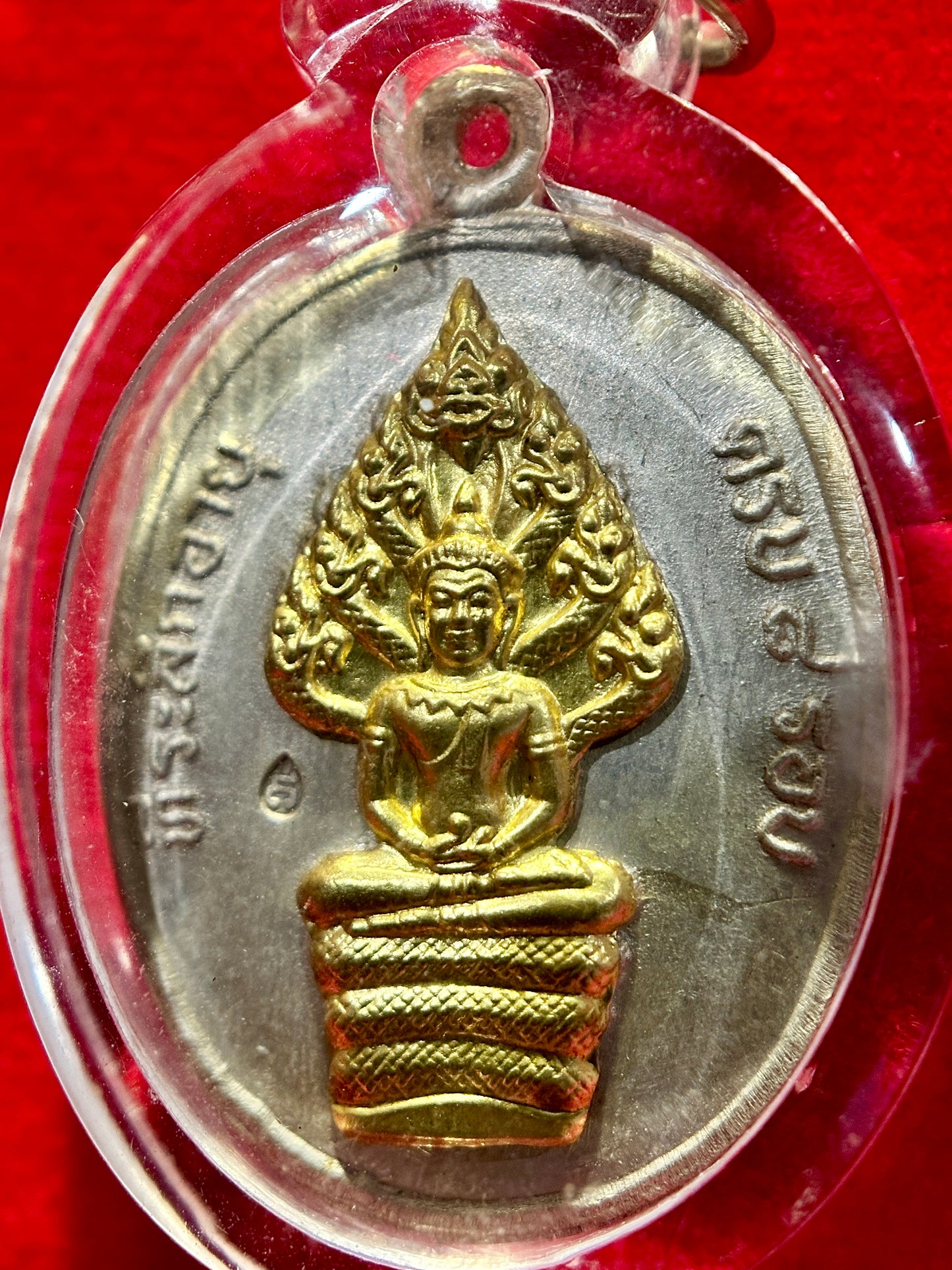 Under Naga Protection