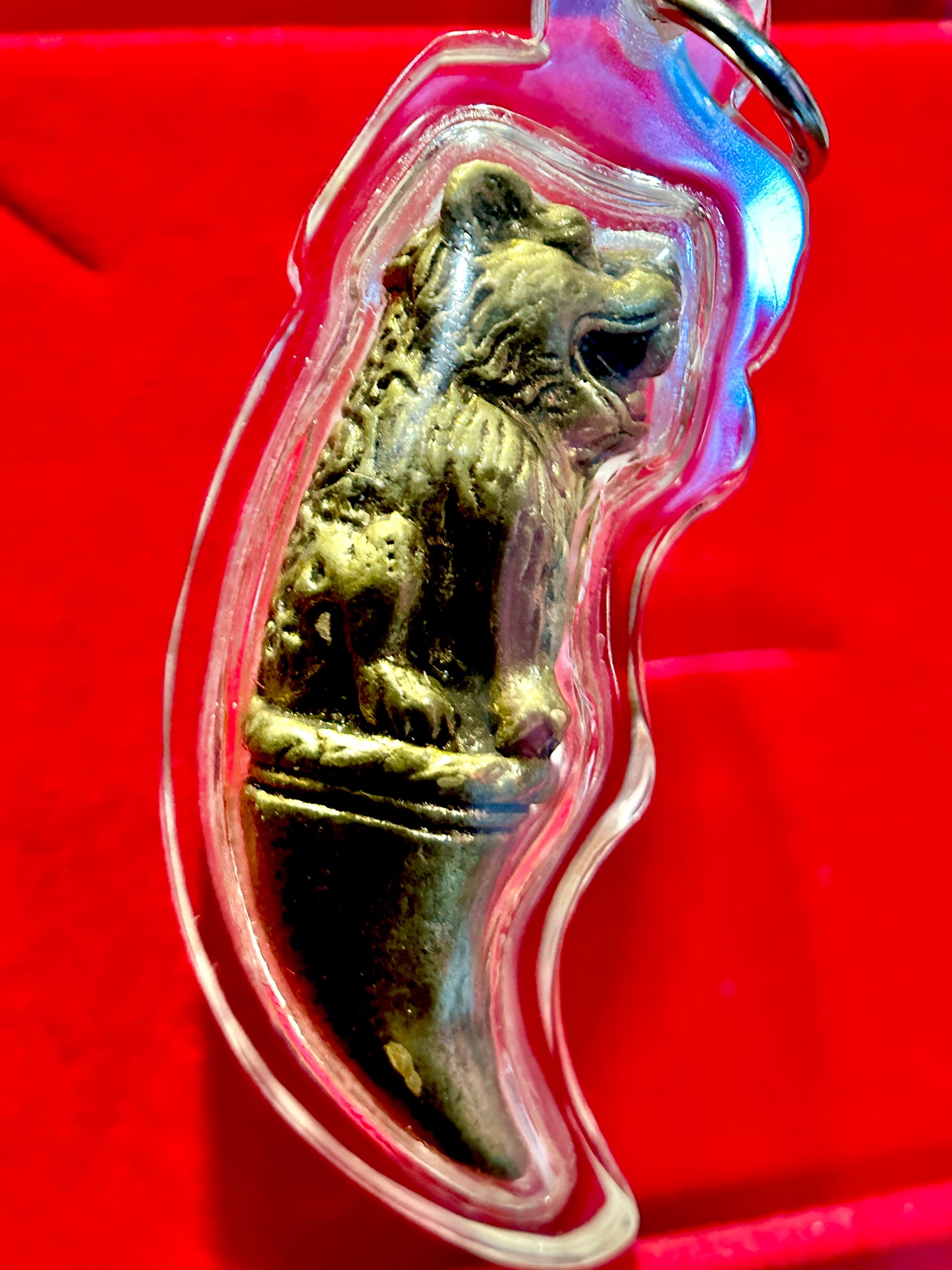 Sacred Tiger Fang