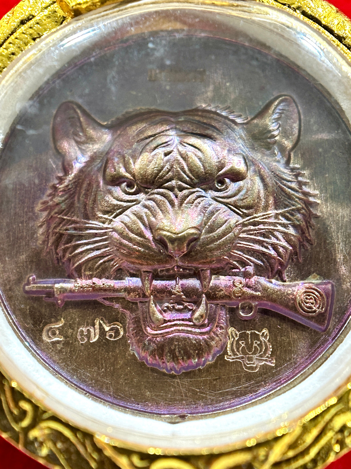 Tiger Warrior Guardian – Courage & Protection
