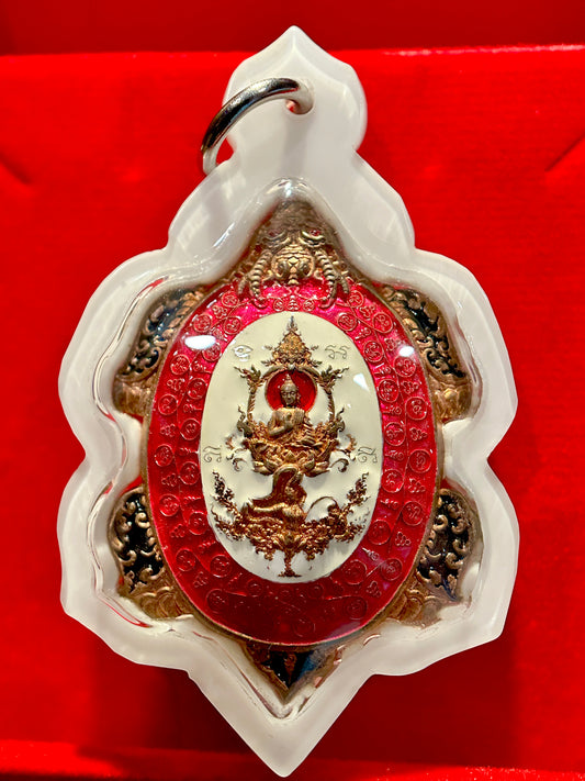 Turtle Shield of Wisdom (Pink/White)