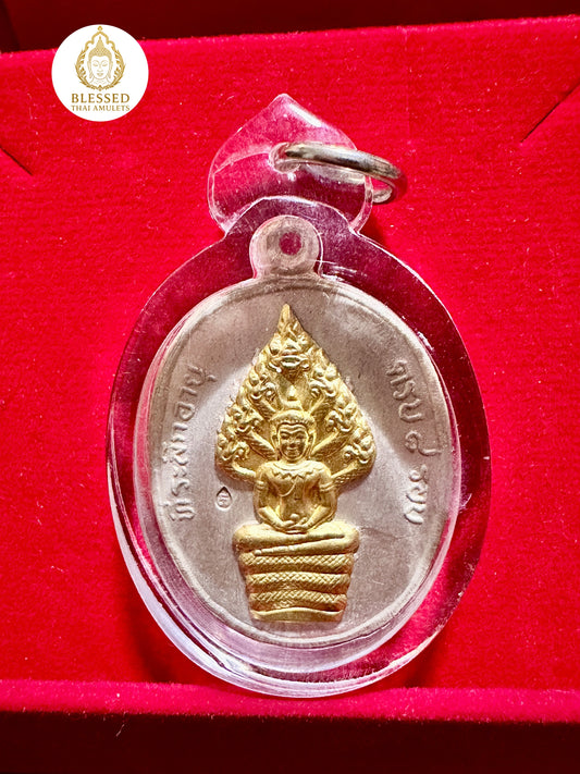 Buddha Under Naga Protection