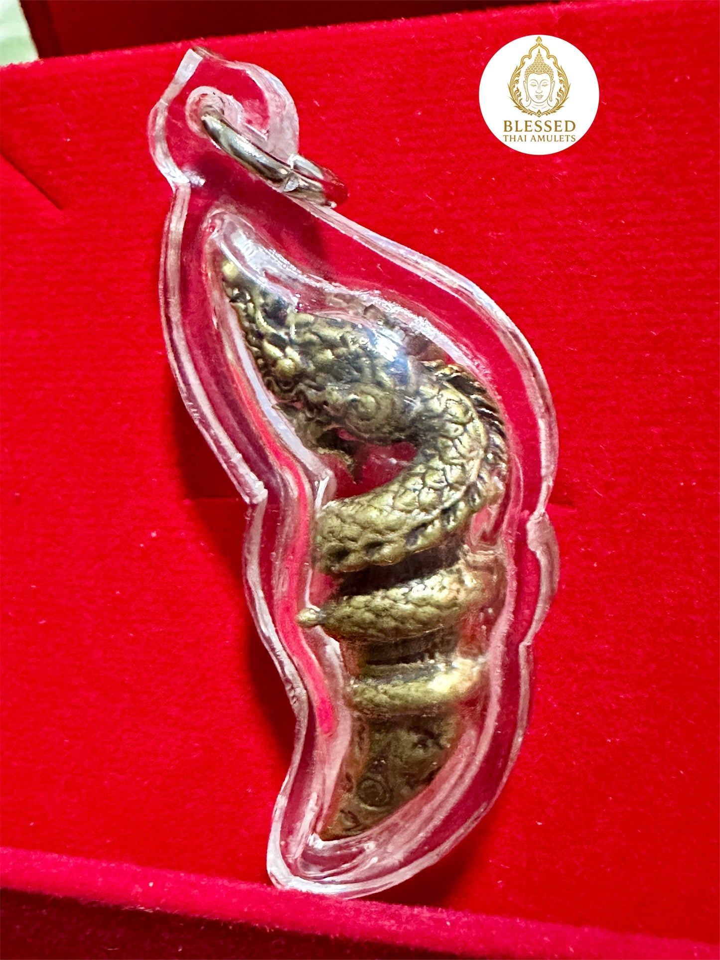 Coiled Naga Power