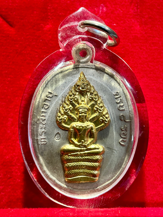 Under Naga Protection