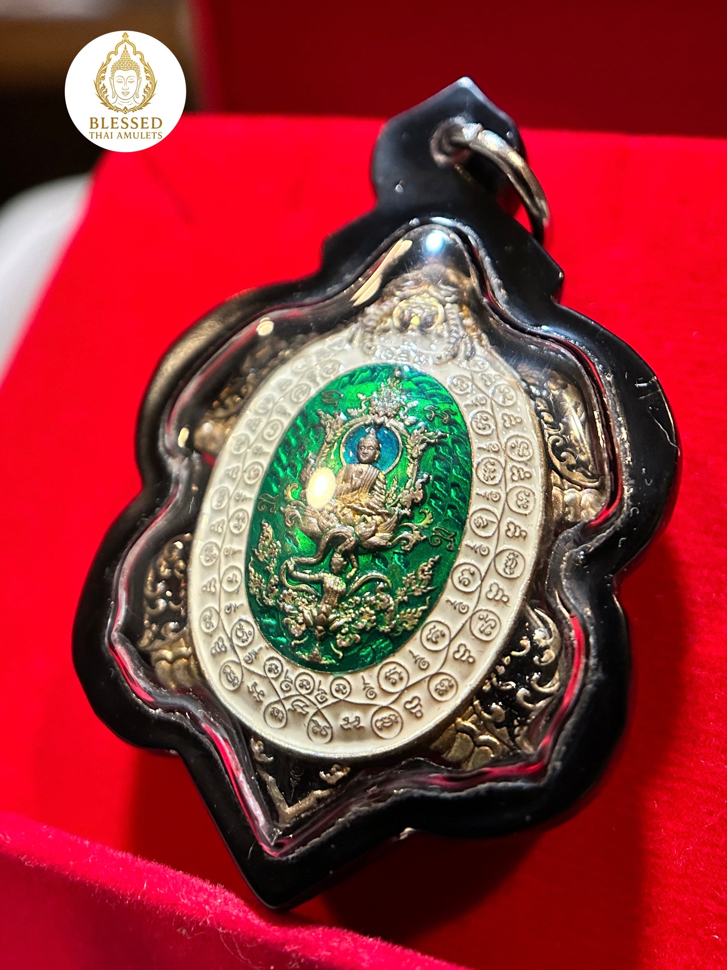 Turtle Shield of Wisdom (Green)