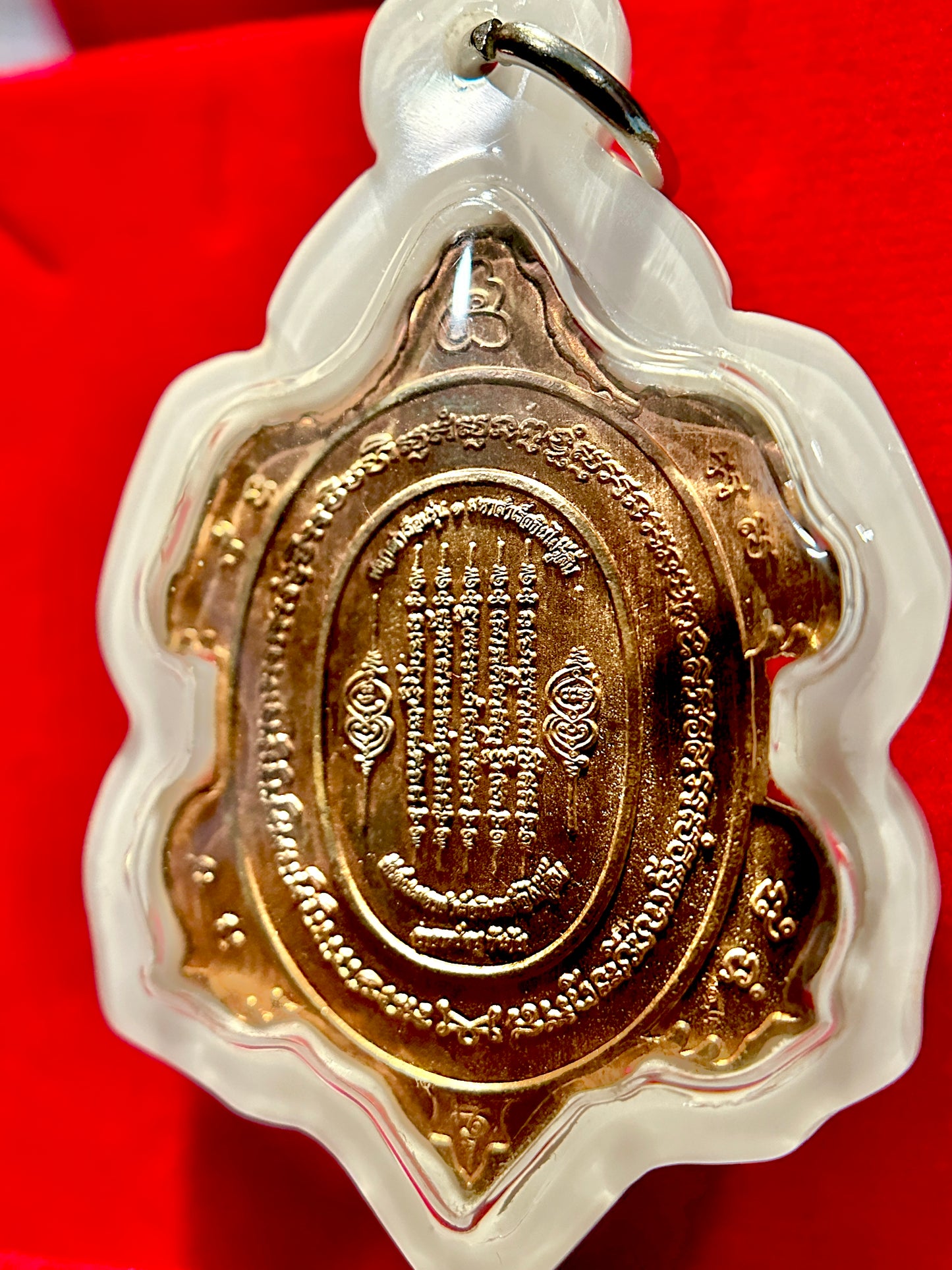 Turtle Shield of Wisdom (Pink/White)