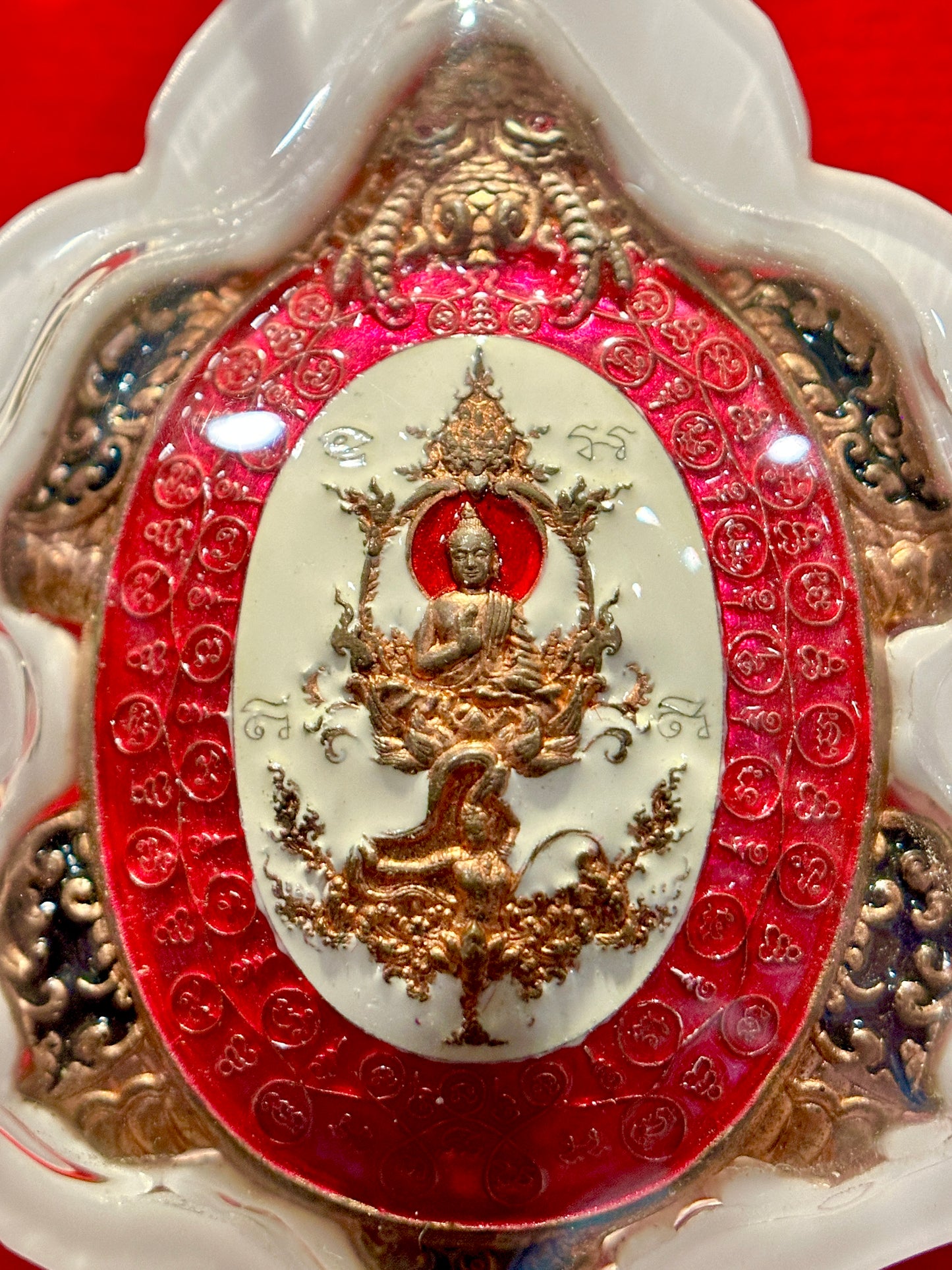 Turtle Shield of Wisdom (Pink/White)