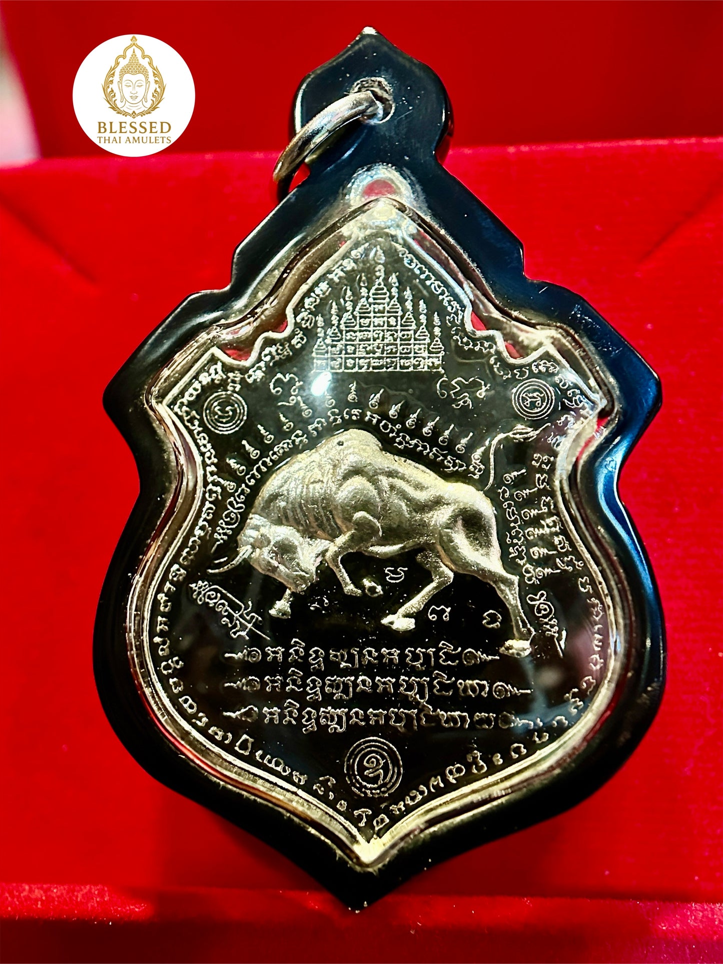 Silver Bull (Black/Black Case)