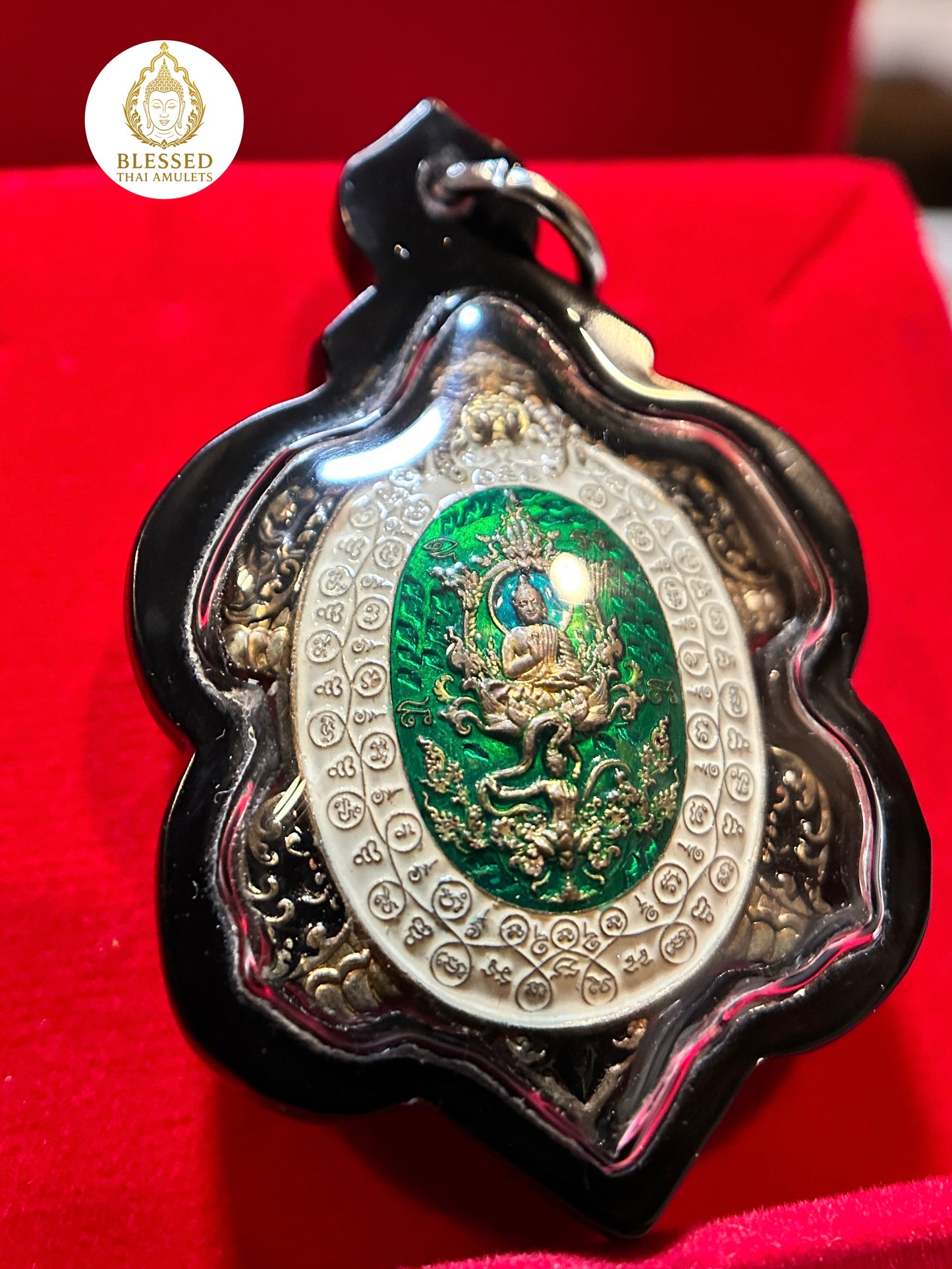 Turtle Shield of Wisdom (Green)