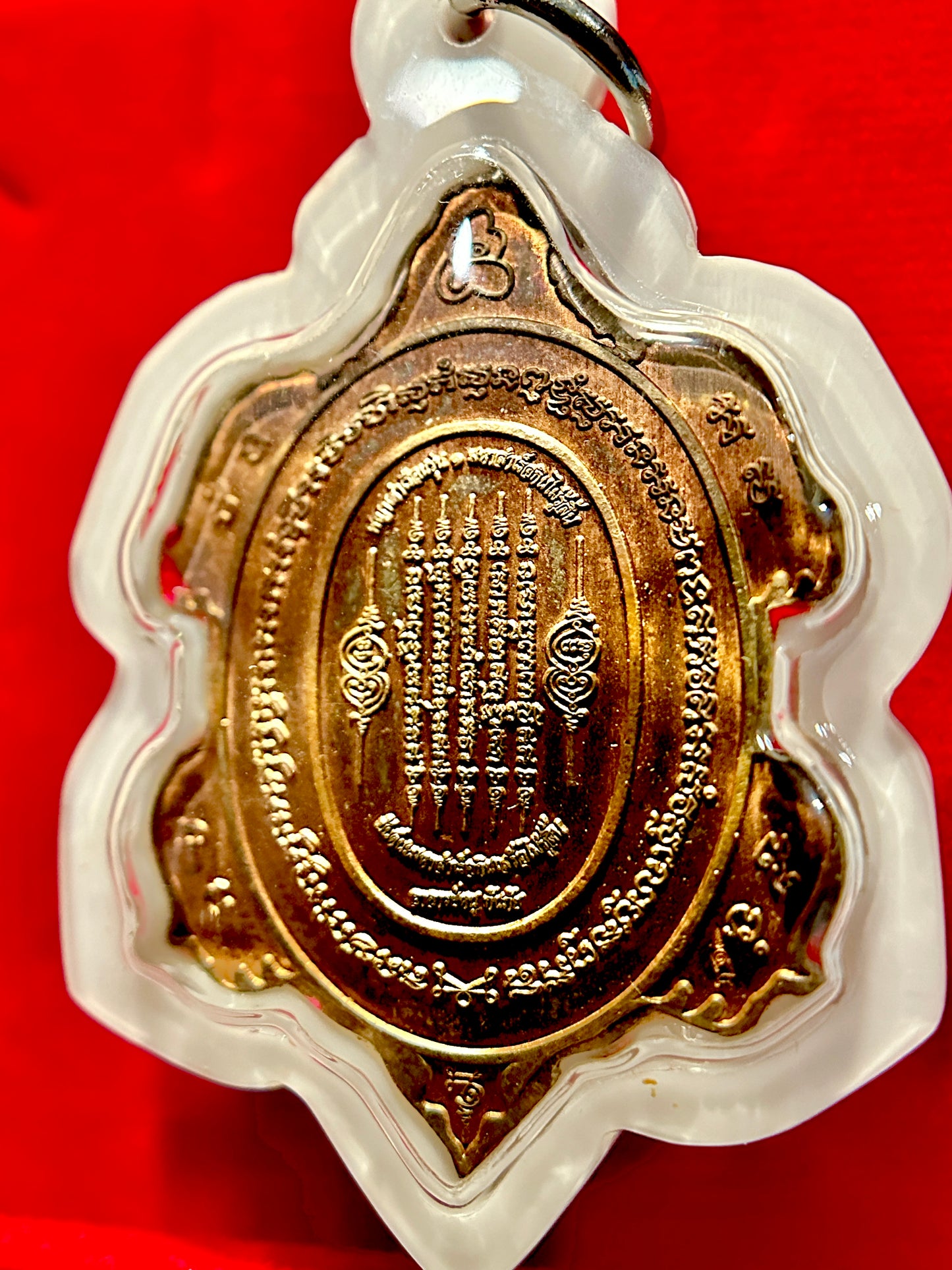 Turtle Shield of Wisdom (Red/White)