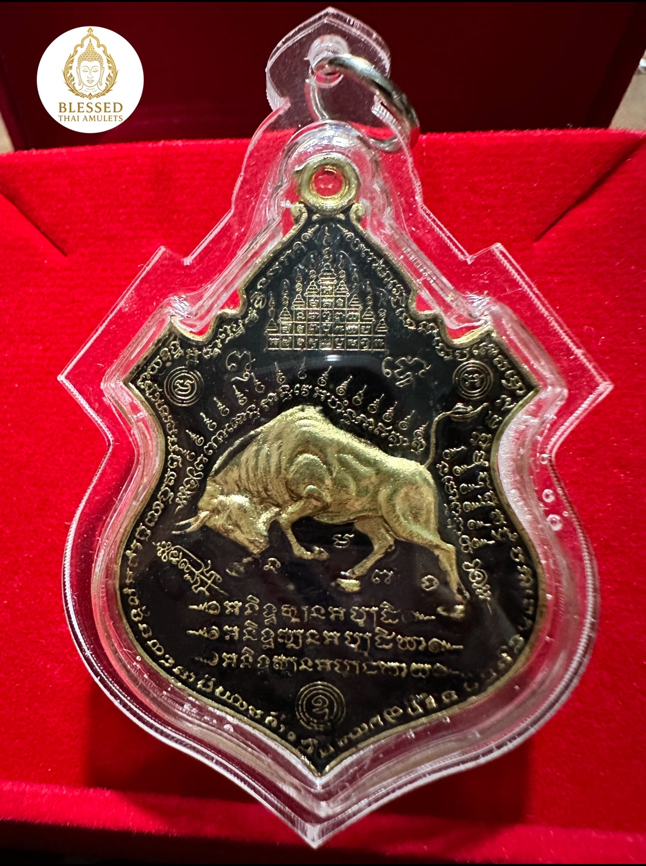 Golden Bull (Clear Case)